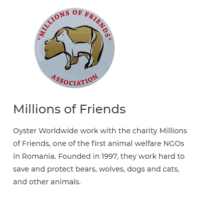 Millions of Friends Oyster Worldwide work with the charity Millions. of Friends, one of the first animal welfare NGOs in Romania. Founded in 1997, they work hard to save and protect bears, wolves, dogs and cats, and other animals. 